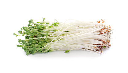 pea sprouts isolated on white background