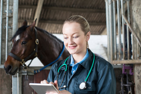 Female Vet With Digital Tablet Examining Horse In Stable