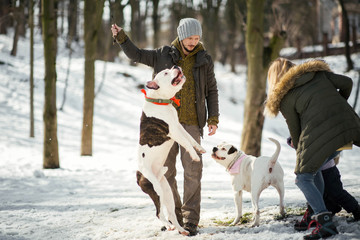 Happy family plays with two American Bulldogs in winter park