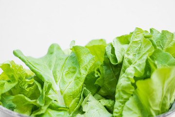 Green chinese cabbage,fresh vegetable on white background