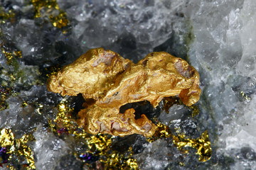 Big nugget of gold and quartz from Lapland