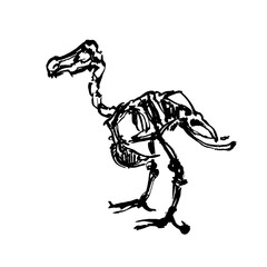 The skeleton of extinct Dodo bird. Quickly ink sketch. Fast drawing. Graphic vintage illustration.