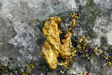 Big nugget of gold and quartz from Lapland