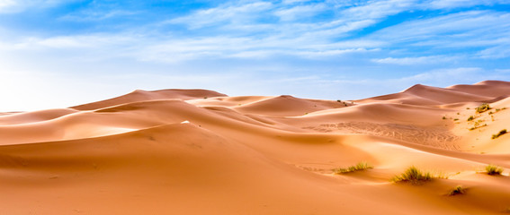 Naklejka na ściany i meble Merzouga in the Sahara Desert in Morocco