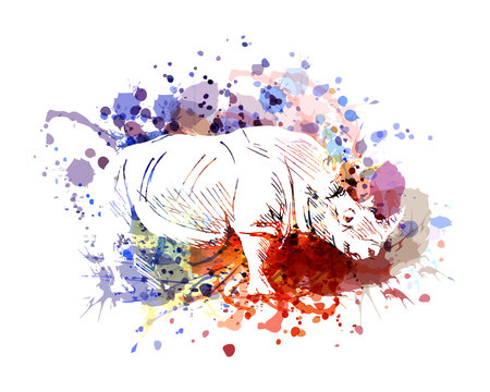 Vector color illustration of rhinoceros