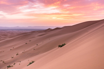 Merzouga in the Sahara Desert in Morocco