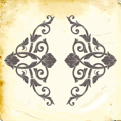 Vector baroque of vintage elements for design. 