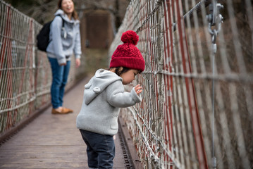 ・吊り橋・興味・赤ちゃん