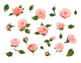 Fotobehang Rozen Poster met roze bloemen element collectie. Vector illustratie.