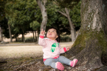 ・木・座る・見上げる