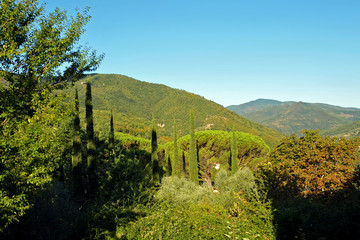Tuscan Landscape. Summer