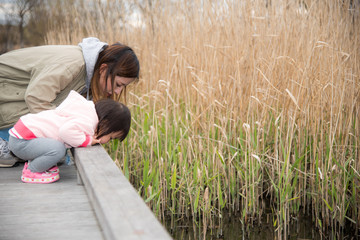 ・子供・橋・覗き込む