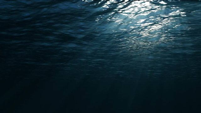 Underwater view. Dark blue ocean surface.
