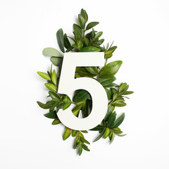 Number five shape with green leaves. Nature concept. Flat lay. Top view