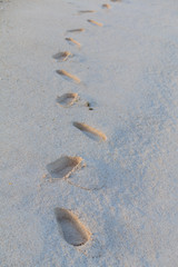 footprints in the sand