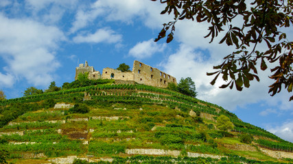 wo Faust weilte, die Burg der Stadt Staufen im Breisgau