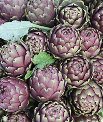 Obraz premium artichokes for sale
