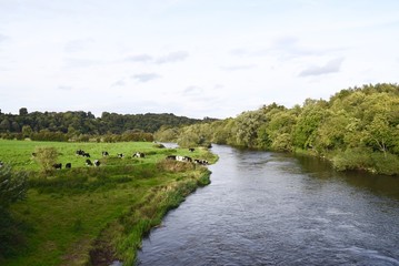 Pastoral River