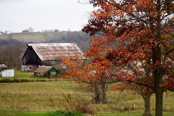 Fototapeta na wymiar Autumn Farm