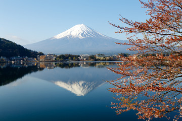 Fototapeta premium Mount Fuji with Blooming Sakura and Reflection on Kawaguchiko lake in Japan