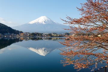 Naklejka premium Mount Fuji with Blooming Sakura and Reflection on Kawaguchiko lake in Japan