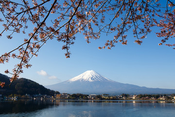 Mount Fuji with Blooming Sakura in Japan