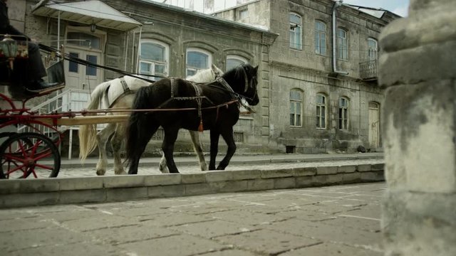 Riding vintage horse carriage on a cobble road . Horse-drawn Carriages runnig. Shot on RED EPIC DRAGON Cinema Camera.