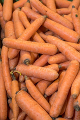 Rohe Karotten