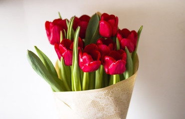 A lively bunch of red tulips are in vase
