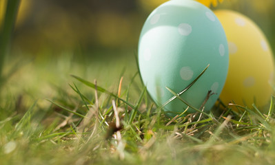 Close-up: two Easter eggs are on a natural green grass on a sunny day. Eggs have a polka dot pattern and bright blue and yellow colors. It is a symbol of spring holiday of the Great Easter.