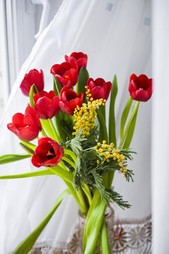 A radiant bunch of red tulips and yellow mimose are in vase