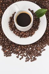 coffee beans isolated on white background with room for copy