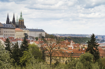 Fototapeta premium Prague Castle