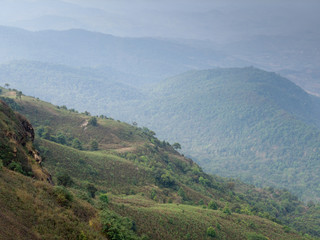 Obraz premium Landscape Image Layer of green trees mountains and mist.