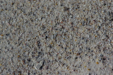 żwirek © Konrad_elx