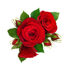 Obraz premium Beautiful composition with red rose flowers and buds