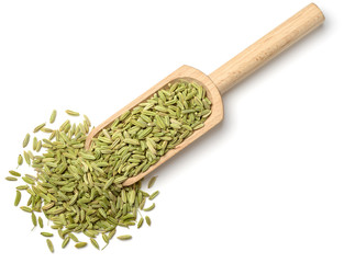 green fennel seeds in the wooden scoop, isolated on white, top view