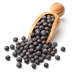 dried juniper berries in the olive wooden scoop