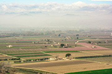 Naklejka premium Springtime with blossoming peach tree fields