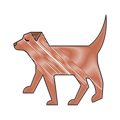 pet dog animal domestic image vector illustration drawing color
