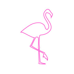 Flamingo illustration. Vector