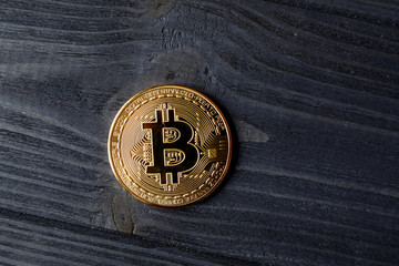 Bitcoin gold coin on the dark blue wooden background.