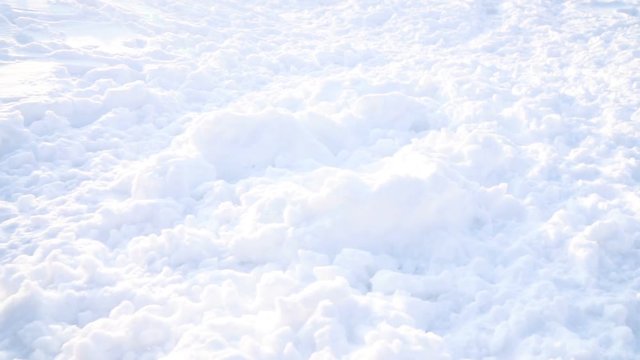 Funny sporty happy dog Jack Russell terrier rushes through a snow-covered field. DLSR camera slow motion video footage