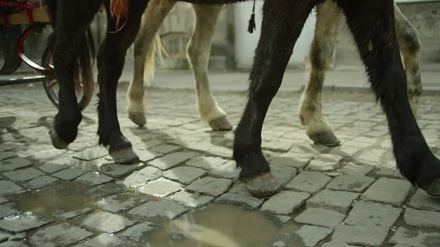Riding vintage horse carriage on a cobble road. Horse-drawn Carriages runnig. Shot on RED EPIC DRAGON Cinema Camera.