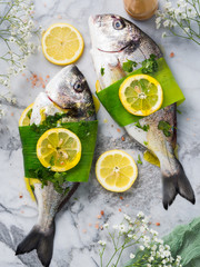 Raw dorada fish prepared to be cooked with lemon, parsley and leek on marble board