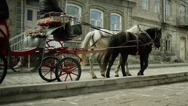 Riding vintage horse carriage on a cobble road . Horse-drawn Carriages runnig. Shot on RED EPIC DRAGON Cinema Camera.