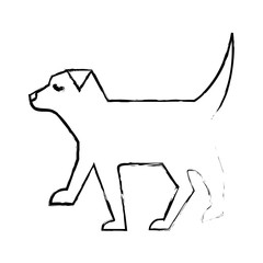 pet dog animal domestic image vector illustration sketch design