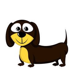 Little dog - Lovely little dachshund