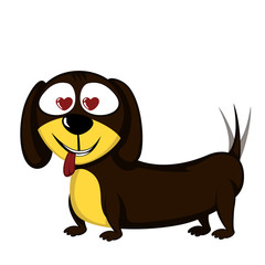 Little dog - Lovely little dachshund in love