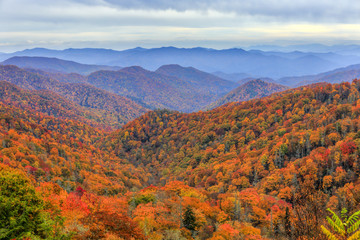 Autumn colors in Great Smoky Mountains National Park along the North Carolina-Tennessee border